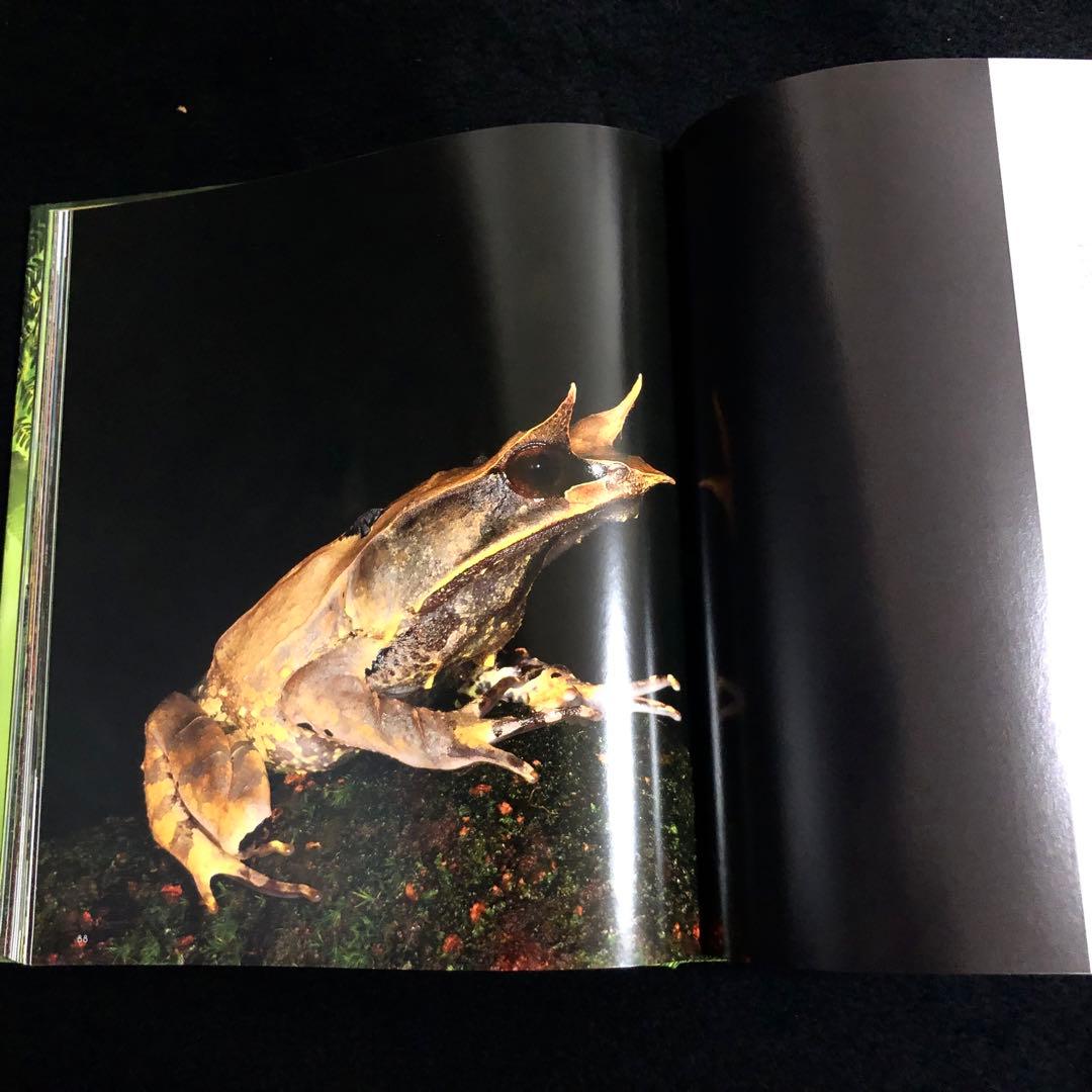 ボルネオ島 野生動物 写真集「Borneo's Wildlife」