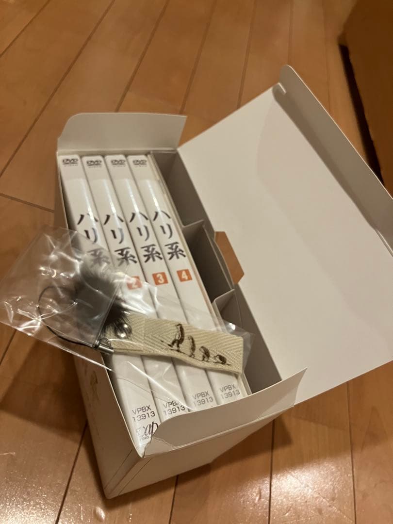 ハリ系 DVD 4枚組　中村友也（倫也）主演