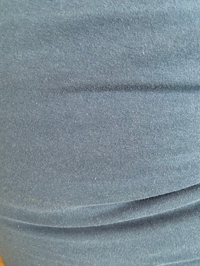 ヨギボーマックス　2ヶ　新潟市　引き取り希望