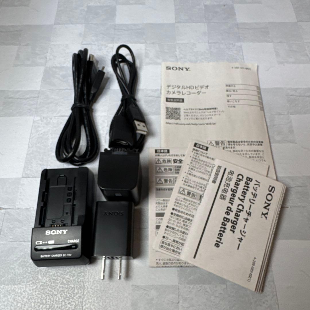 T009 SONY ソニー Handycam ハンディカム HDR CX675