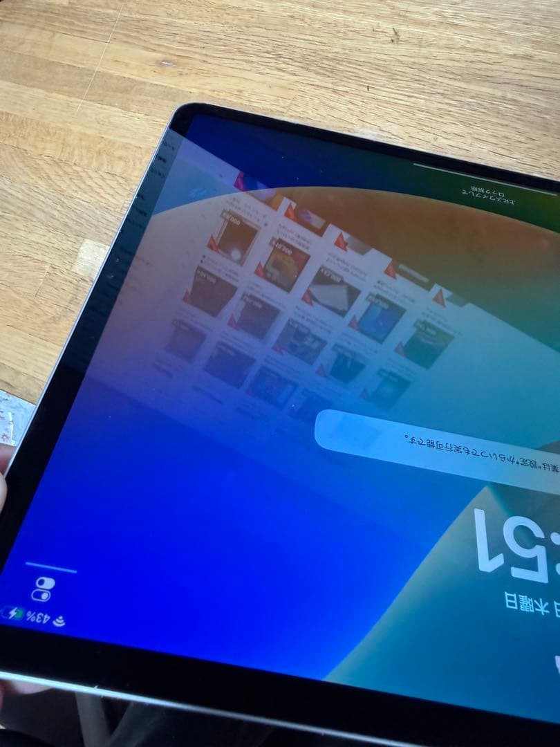 iPad pro 12.9インチ　第四世代　256GB ジャンク