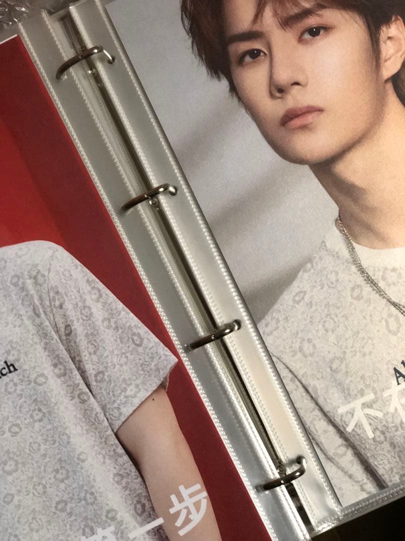 王一博 バインダー＋A4・Pカード他 カード満載アルバム