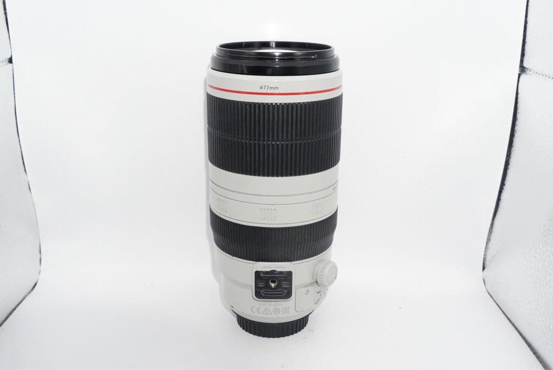 canon EF100-400mm IS Ⅱ