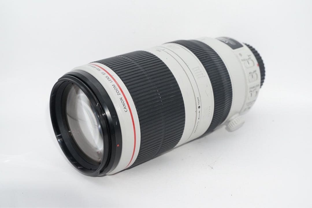 canon EF100-400mm IS Ⅱ