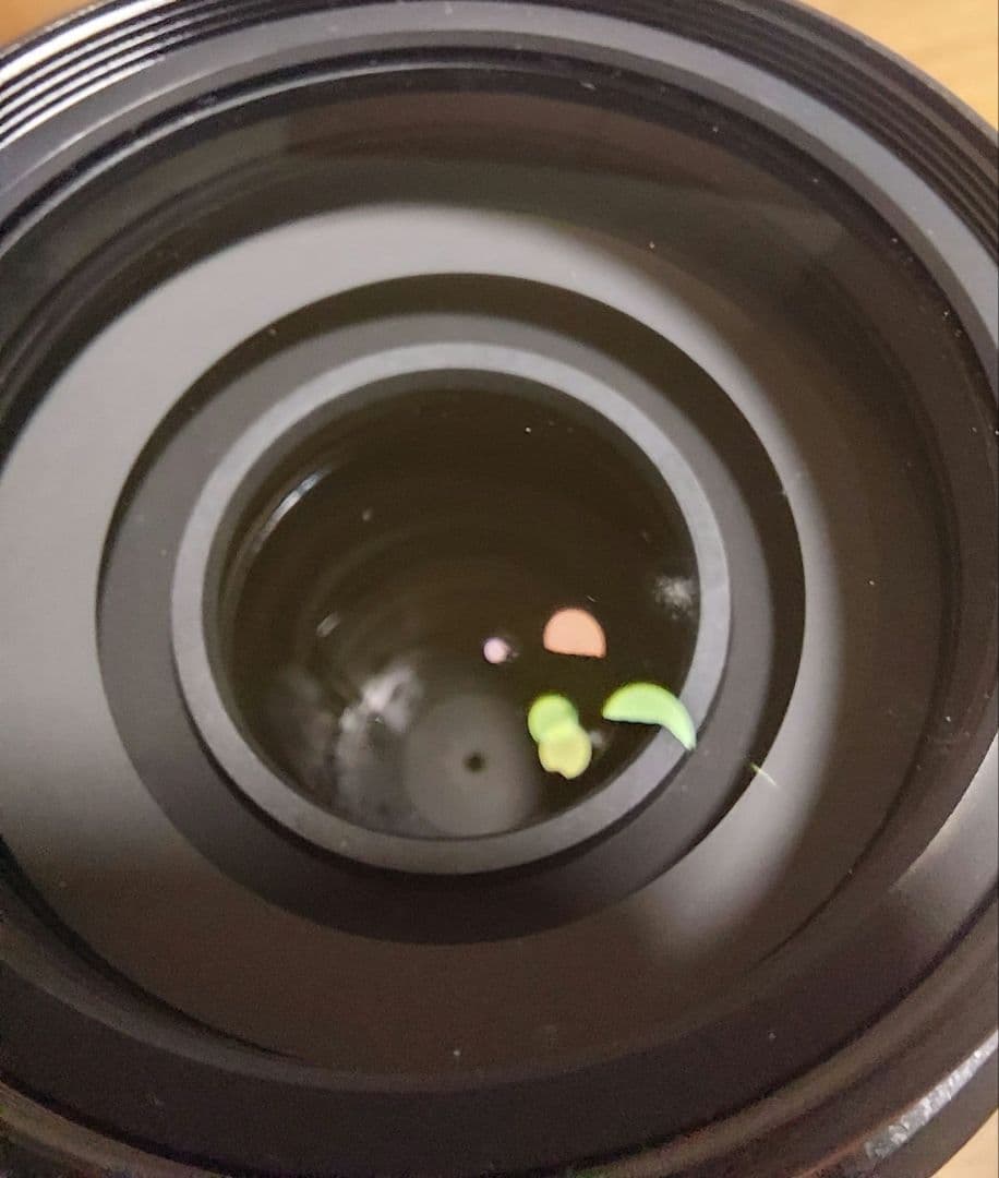 Nikon ニコン AF-S DX 55-300mm 4.5-5.6G VR