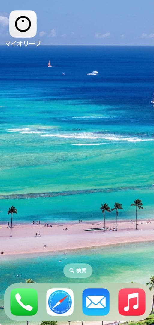 Olive Max 集音器　ワイヤレスイヤホン