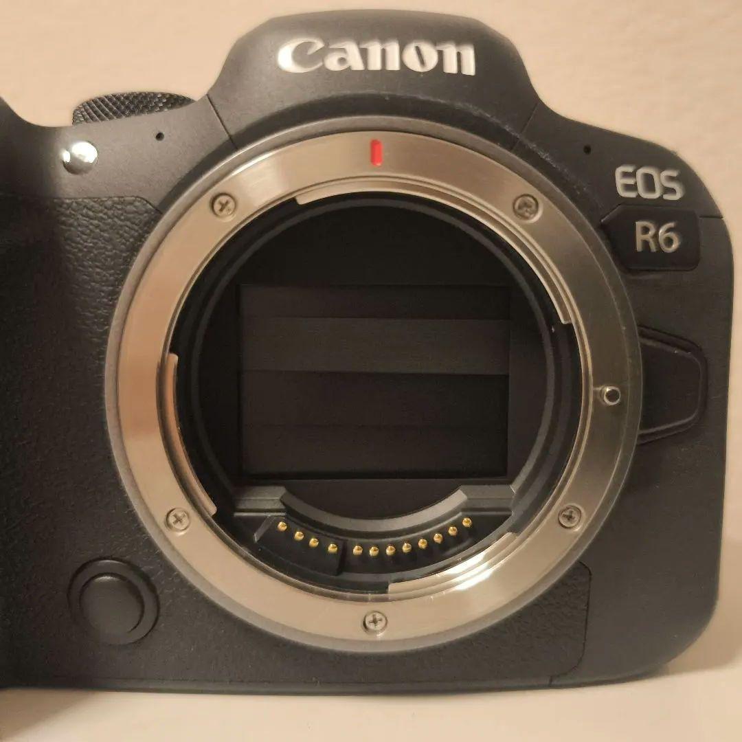 A*z様 CANON EOS R6（ショット数1,900枚）