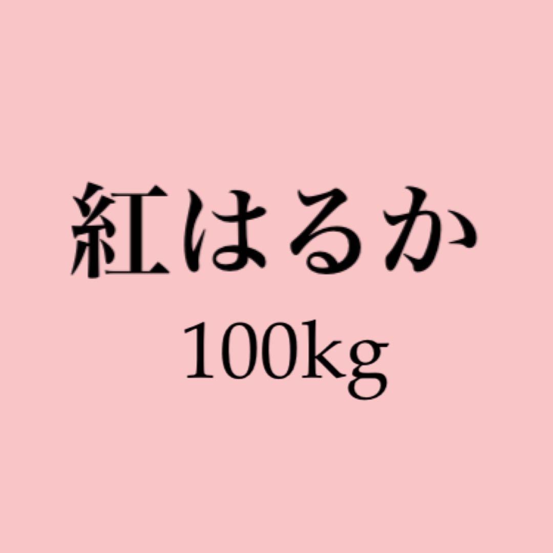 鹿児島県産さつまいも《紅はるか》100kg