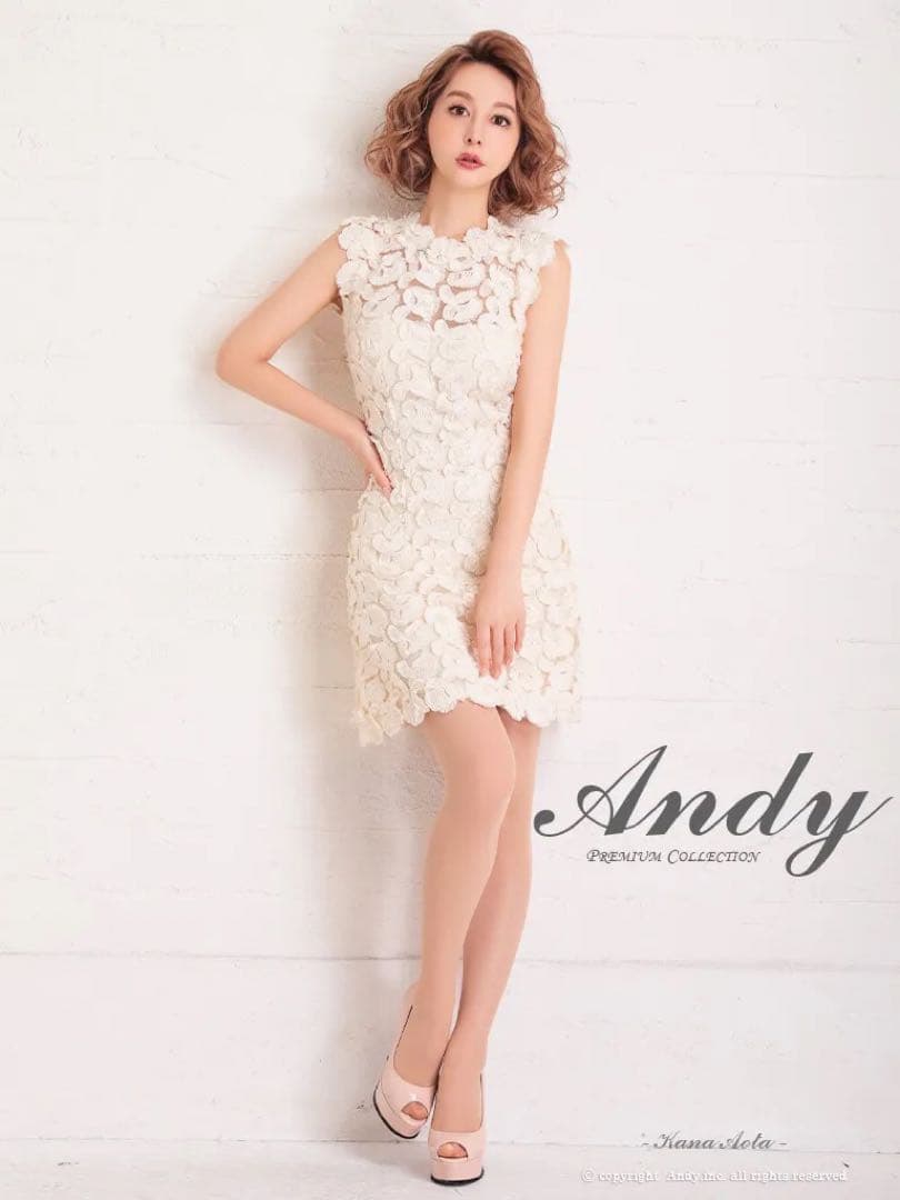 OK2659＊フリンジレース刺繍ハイネックドレスclM