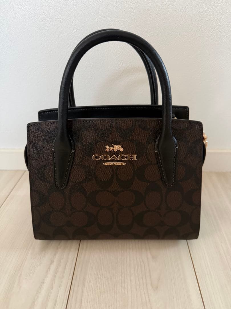 coach アンドレア ミニ キャリーオール・シグネチャー キャンバスバッグ