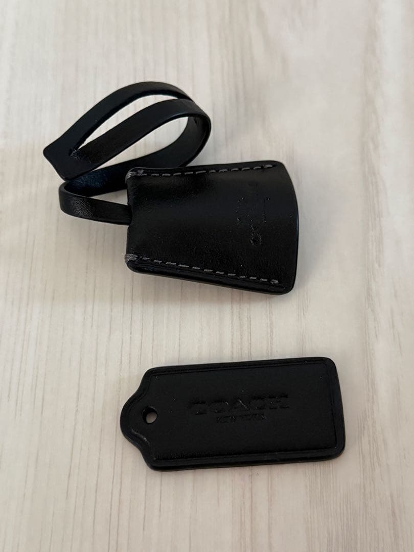 coach アンドレア ミニ キャリーオール・シグネチャー キャンバスバッグ