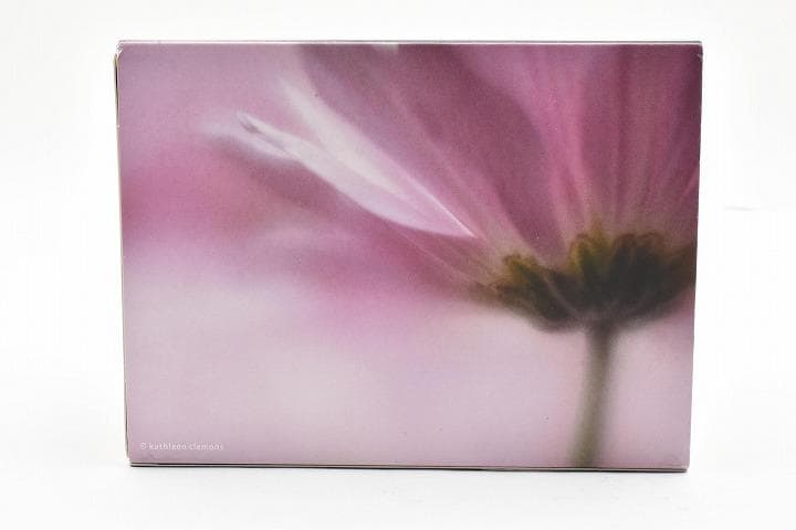 15238E ★新品★ レンズベビー 56mm F1.6 LENSBABY