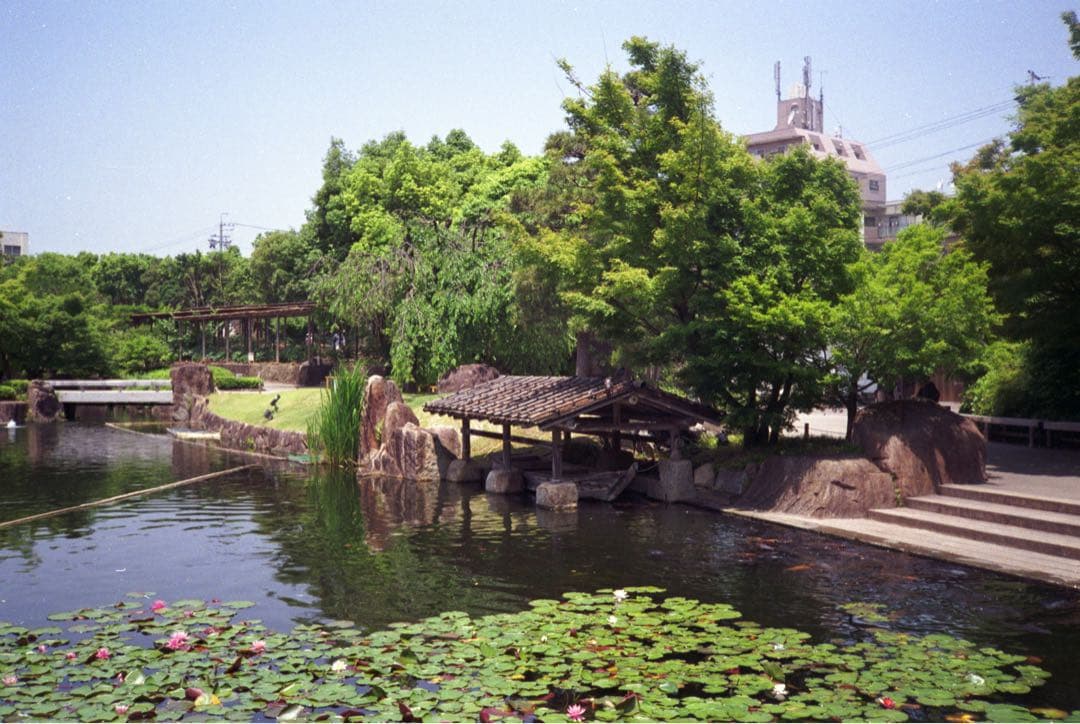 KONICA C35 flashmatic 整備、テスト撮影済み　271132