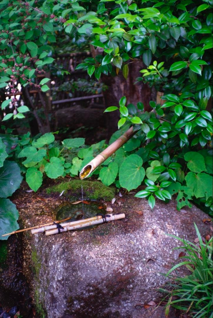 KONICA C35 flashmatic 整備、テスト撮影済み　271132