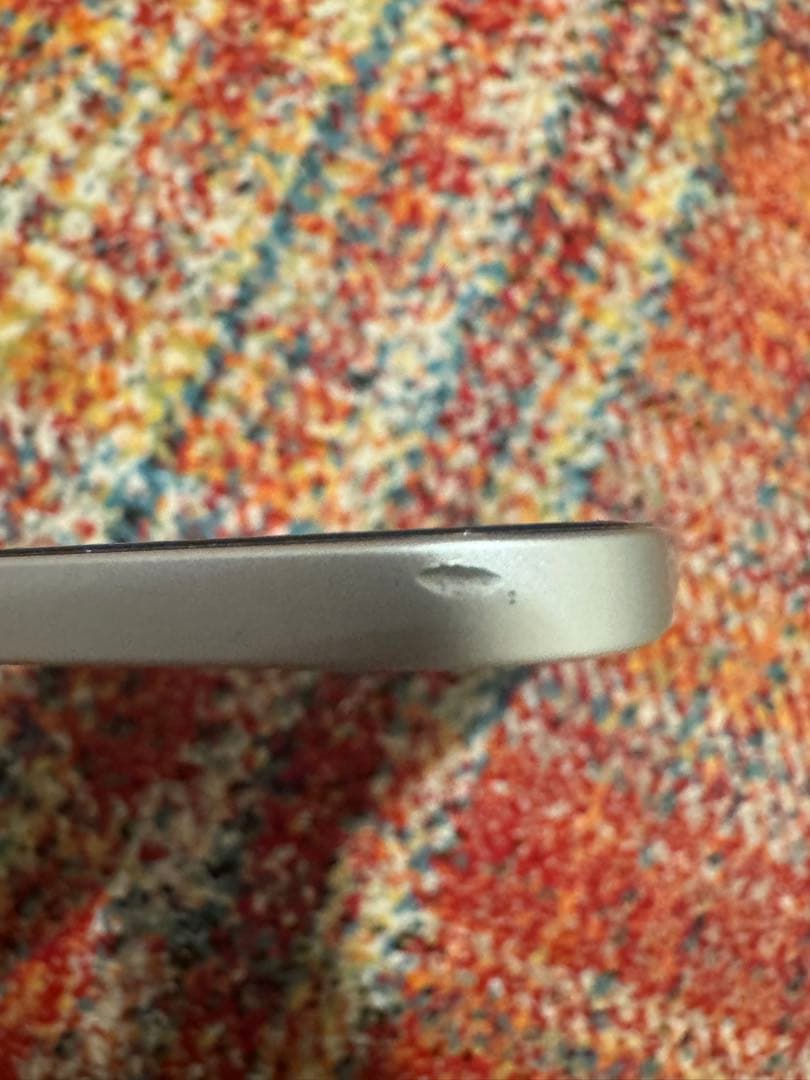 Apple iPad Pro （第4世代）11インチ シルバー 本体