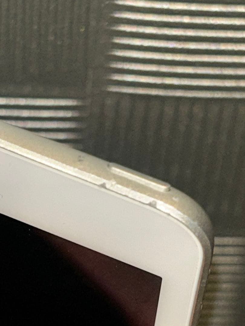 iPad mini 第5世代 [純正箱・付属品完備] ホワイトスポットあり