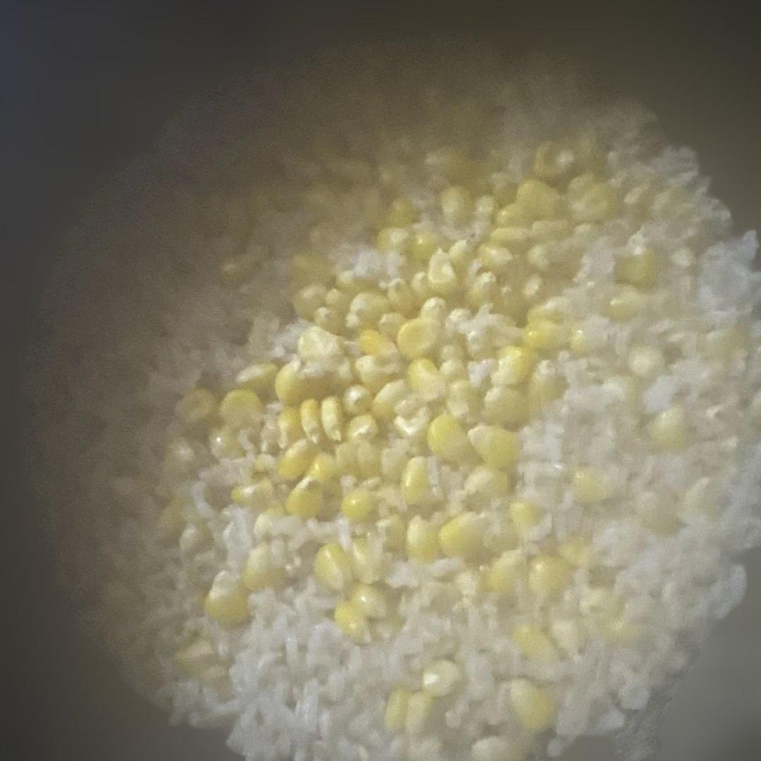 HITACHI IH炊飯器 RZ-BS10M