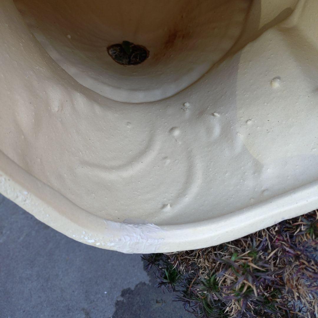 信楽焼　43cm13号フクロウ付き開運狸　タヌキ　狸　たぬき