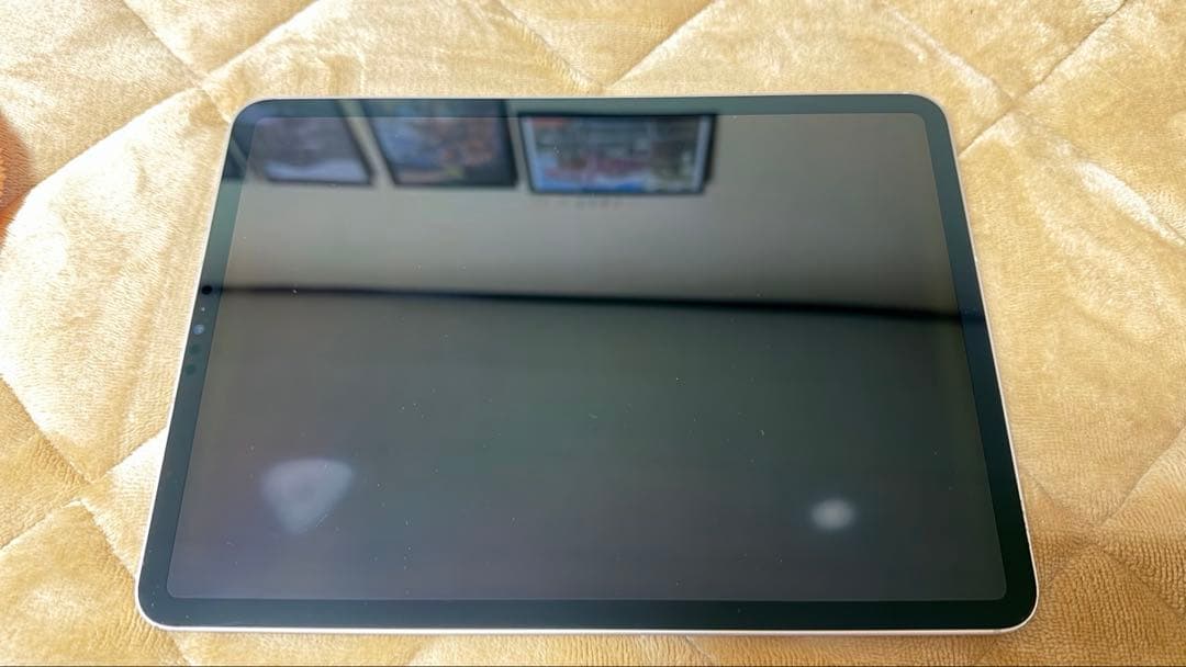 第4世代iPad Pro 11インチ256GB