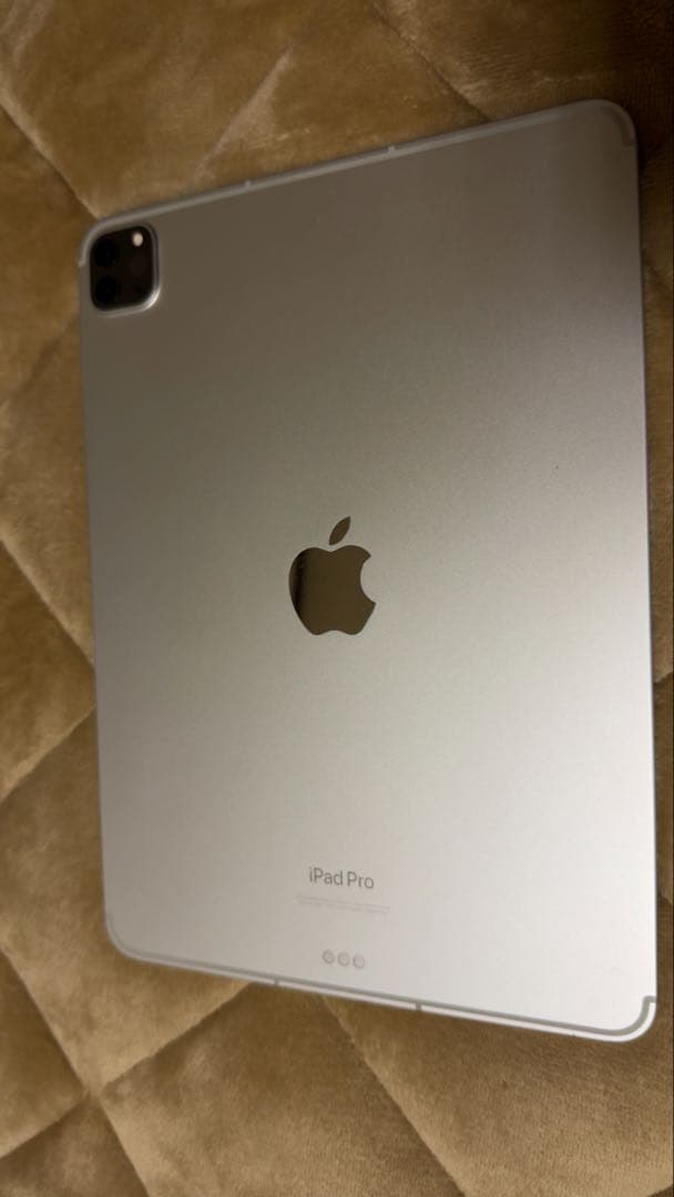 第4世代iPad Pro 11インチ256GB