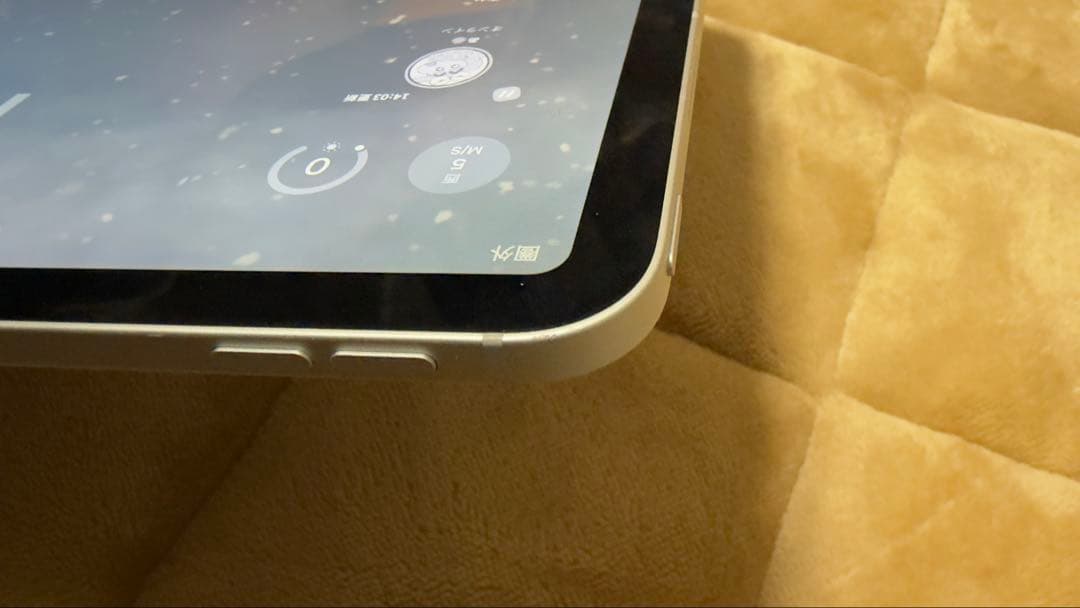 第4世代iPad Pro 11インチ256GB