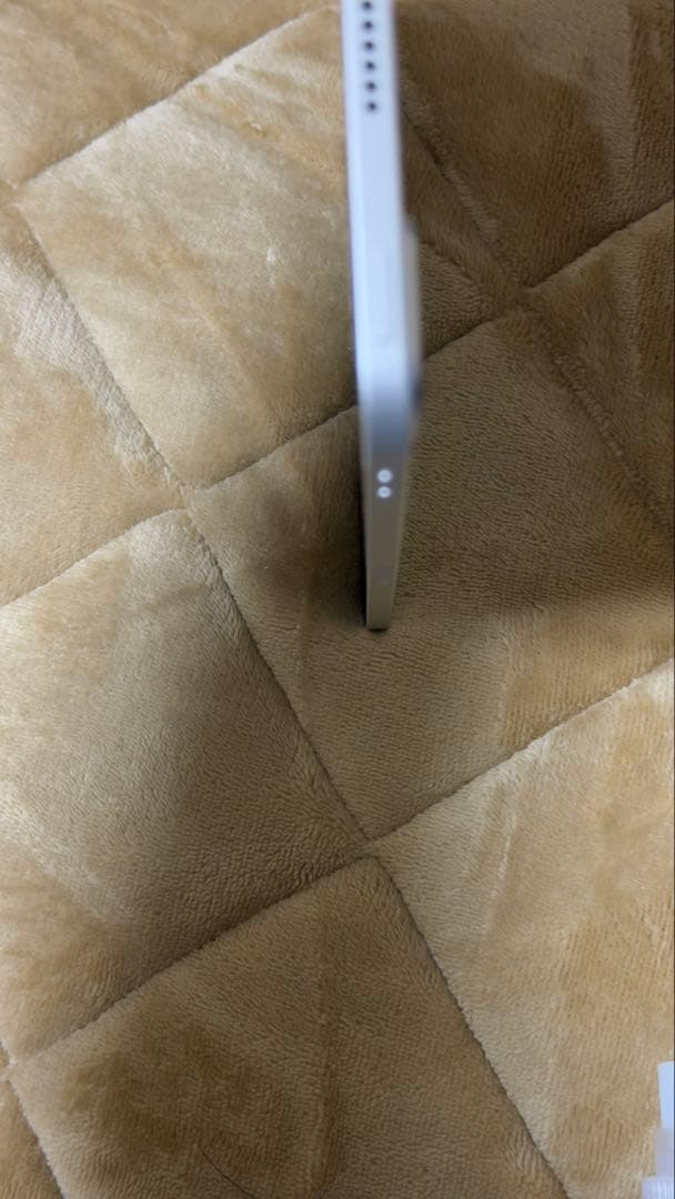 第4世代iPad Pro 11インチ256GB