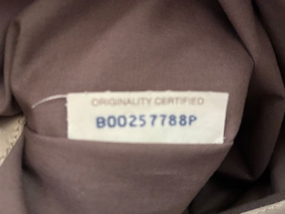 [美品]ボッテガヴェネタイントチャートメッセンジャーバック希少アイボリー