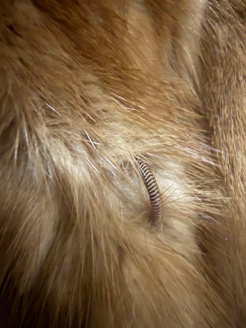 ミンク毛皮コート