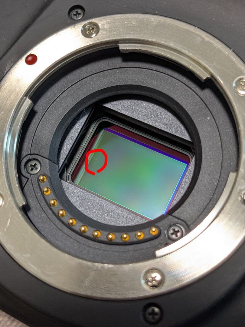 ルミックス LUMIX GH1 パナソニック ミラーレス一眼