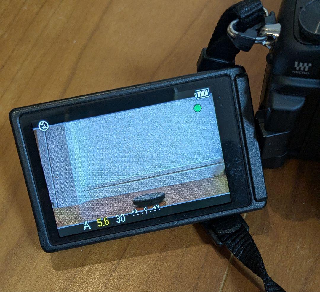 ルミックス LUMIX GH1 パナソニック ミラーレス一眼