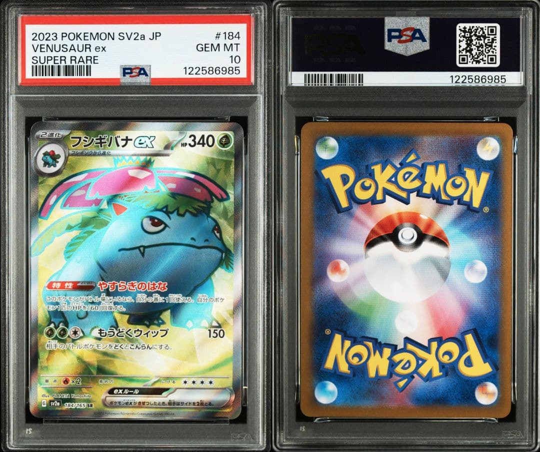 連番 フシギバナ リザードン カメックスex sr psa10 最新ケース