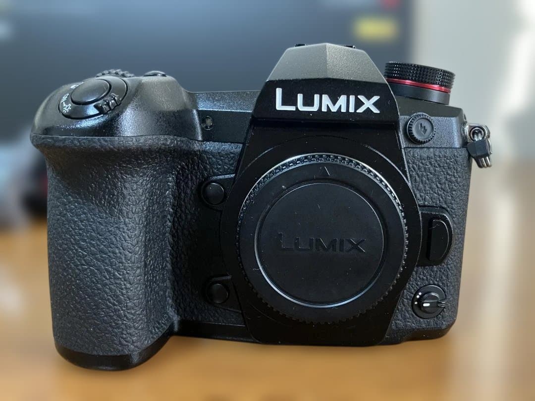 【価格相談可】LUMIX DC-G9 ミラーレス一眼　マイクロフォーサーズ
