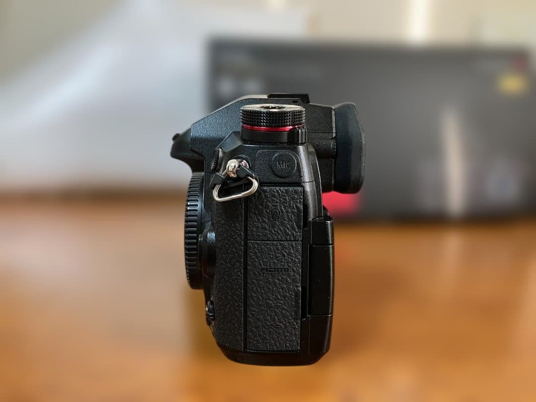 【価格相談可】LUMIX DC-G9 ミラーレス一眼　マイクロフォーサーズ