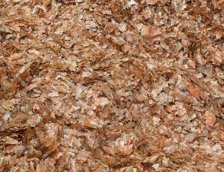 玉ねぎ皮　　10㌔2万円より　▲▲1000円引き