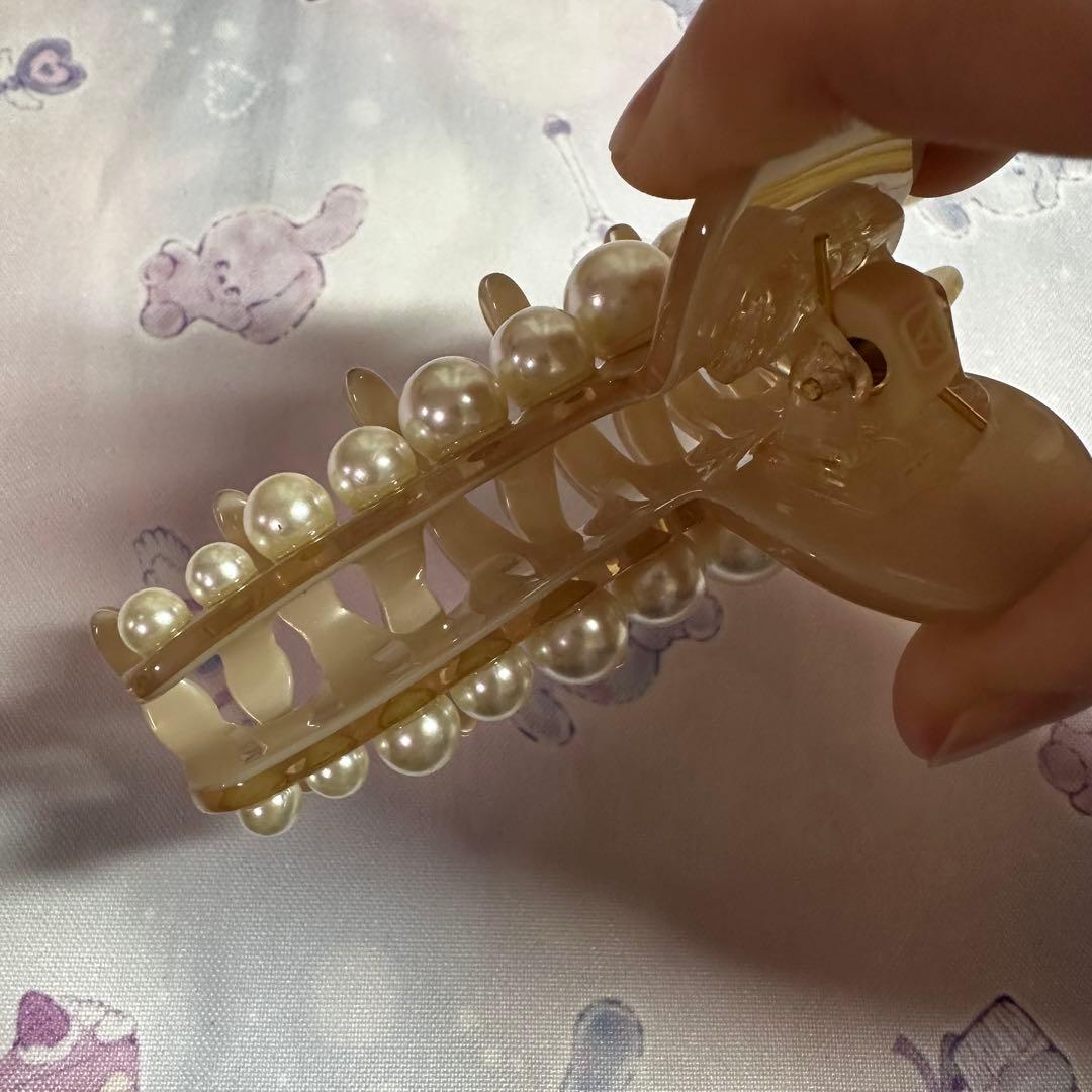 ALEXANDRE DE PARIS ヘアクリップ　Lサイズ