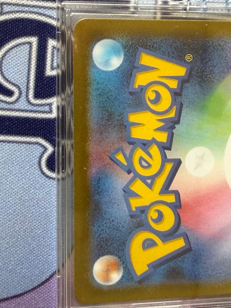 メガメガニウム　sar