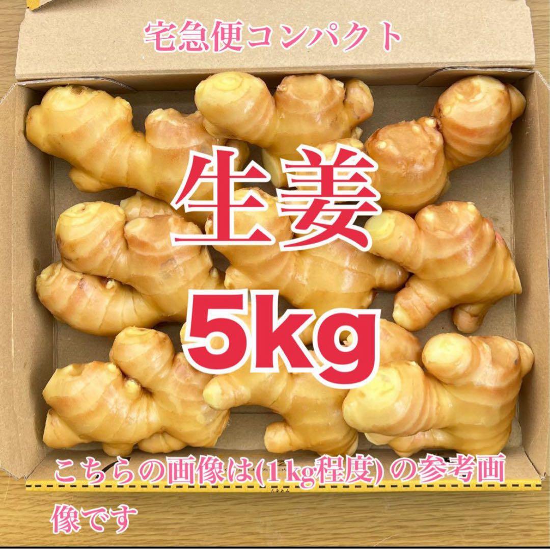 熊本生姜5kg