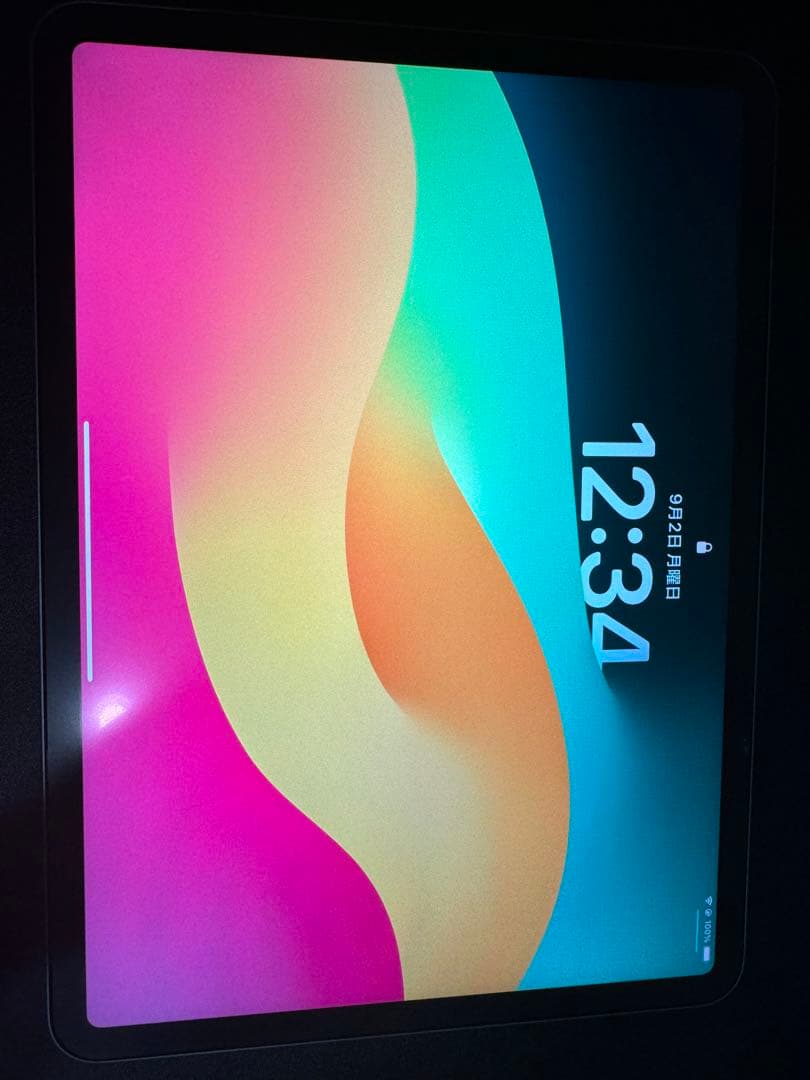 【ペンシル付属】iPad pro 11インチ (第四世代) Wi-Fiモデル