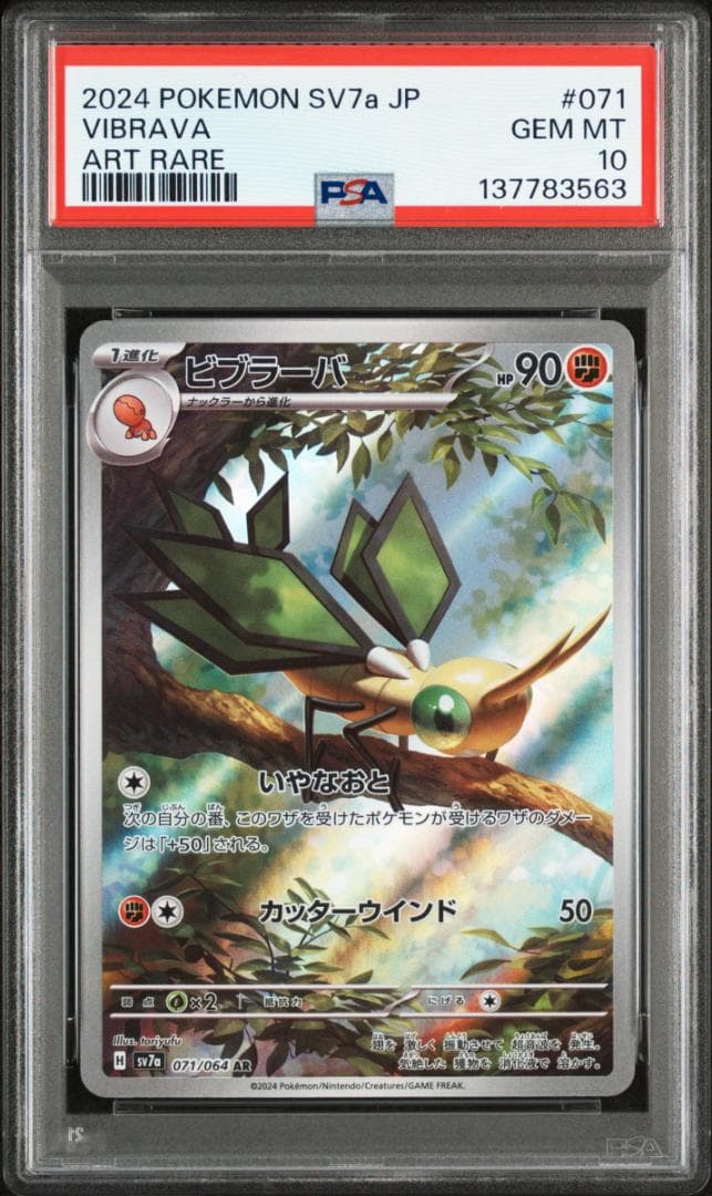 PSA10 連番 フライゴン ビブラーバ AR ポケカ