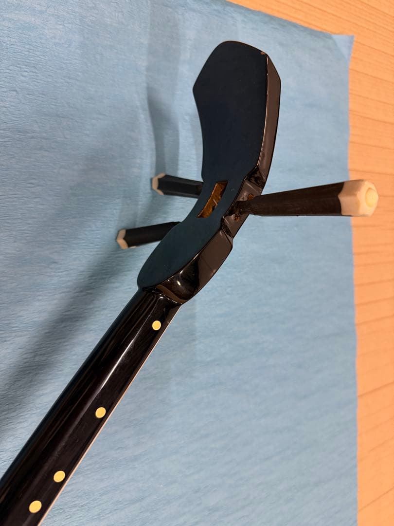 ケース付き 沖縄三線 本体 ヘビ皮デザイン 専用ケース付き