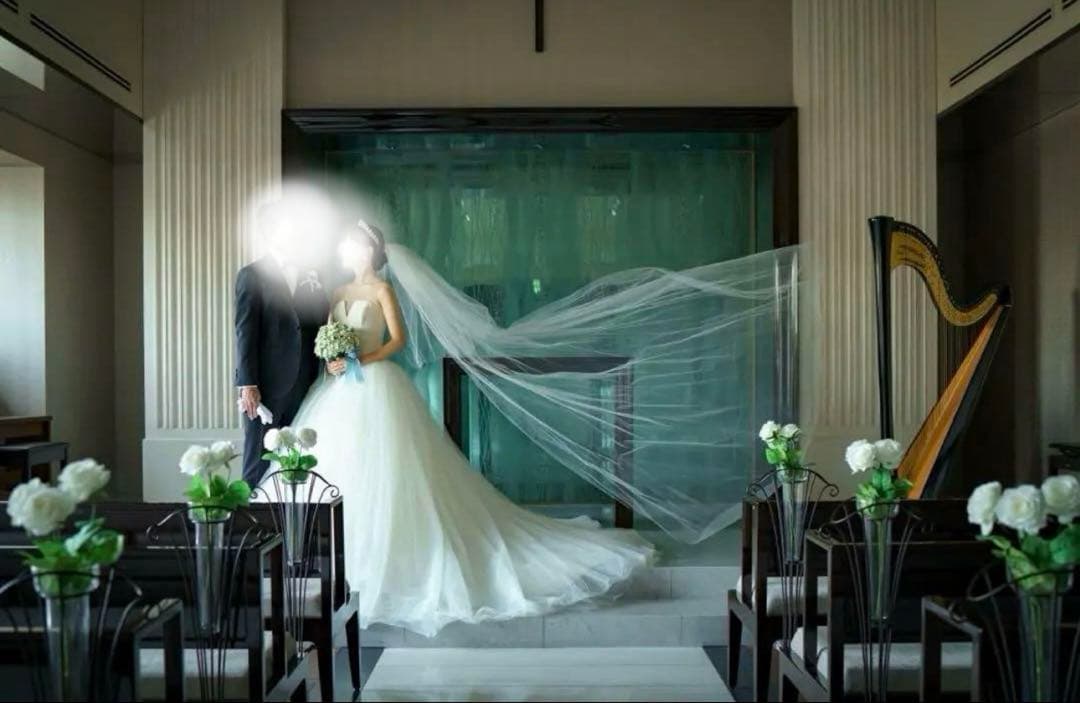 【VERAWANG】2段ロングベール