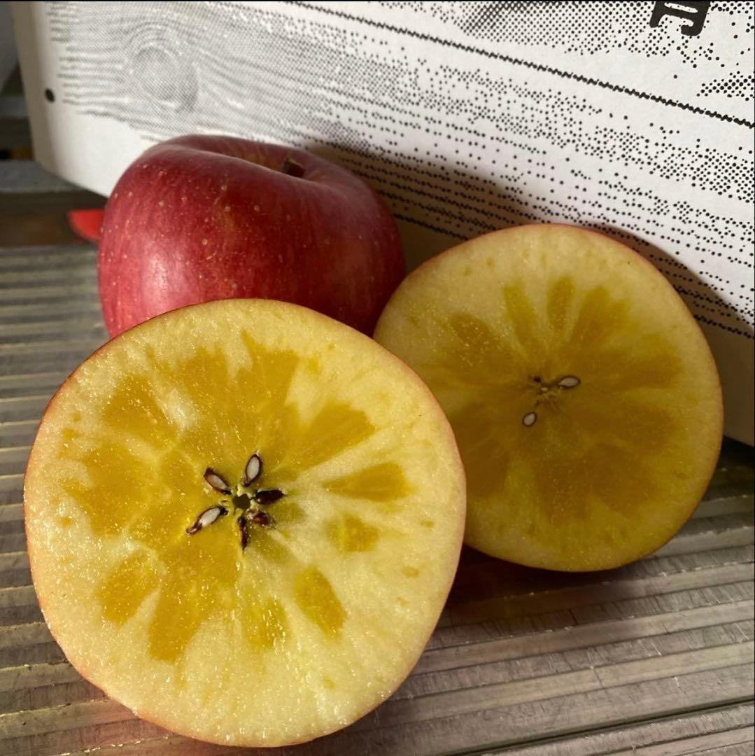 農家直送！青森県産⭐️高徳りんご　お得用　２０個入り　限定１箱のみ‼️