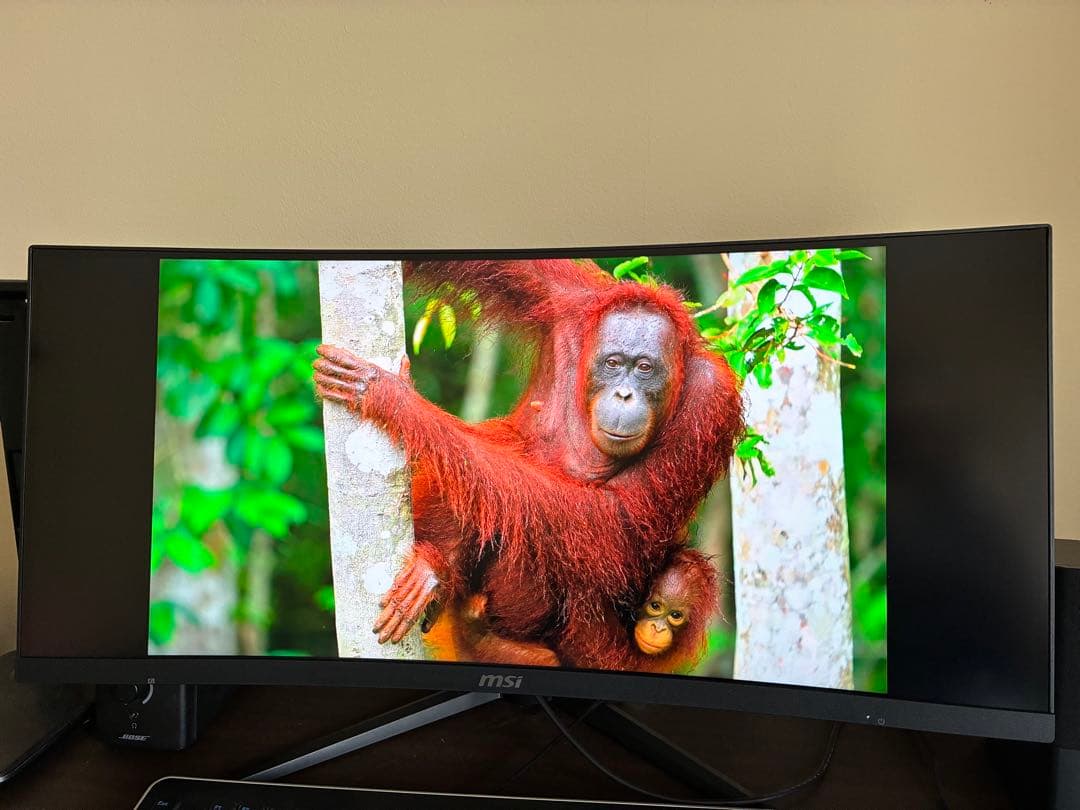 MSI Optix MAG301CR2本体