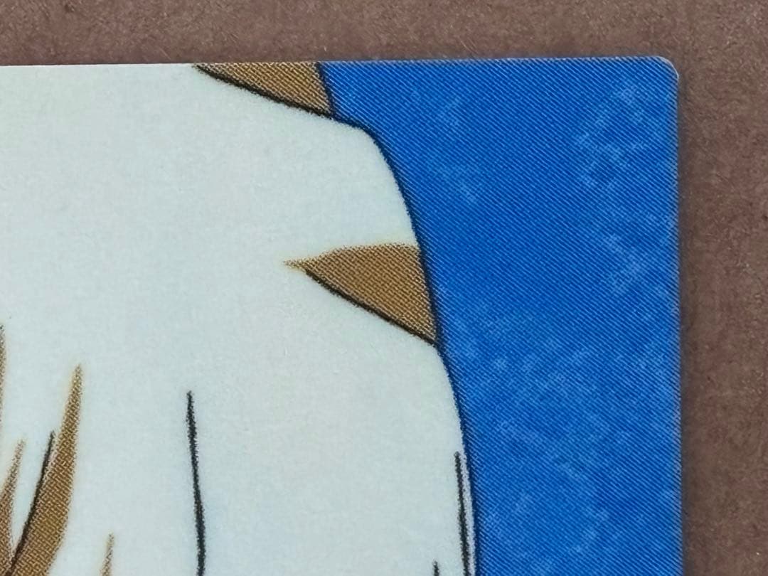 HUNTER×HUNTER カードダスマスターズ/No.21 クラピカ