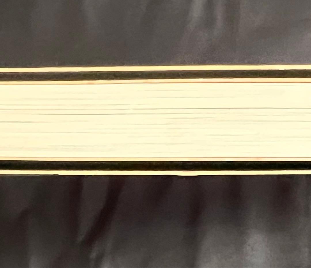 DANNY LYON THE BIKERIDERS 写真集　洋書