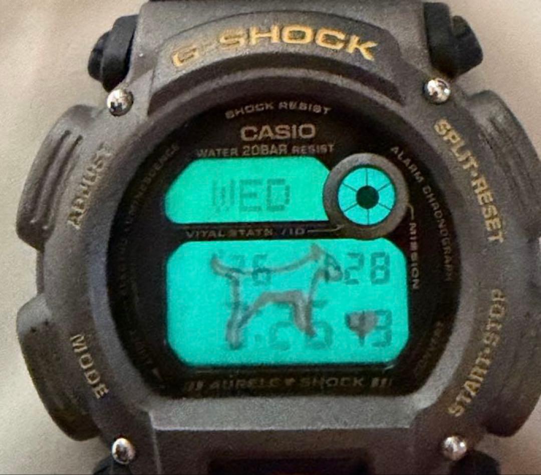 G-SHOCK アニエスベー　DW-8800