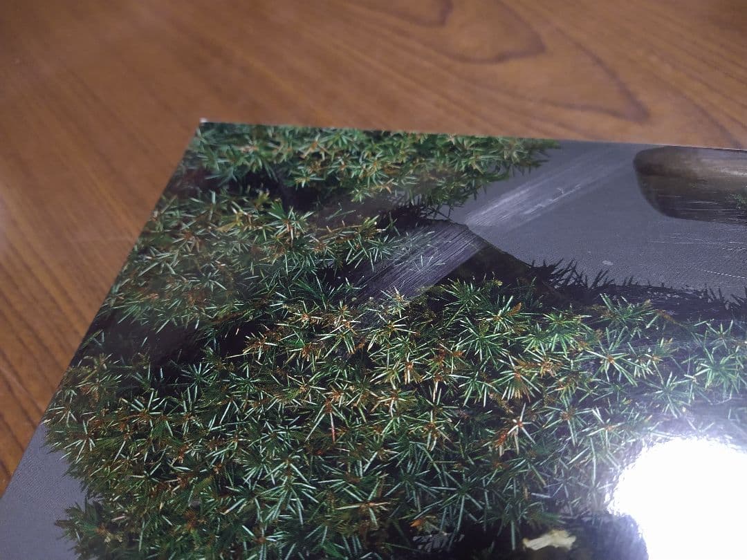 国風盆栽展 11巻セット 80-90