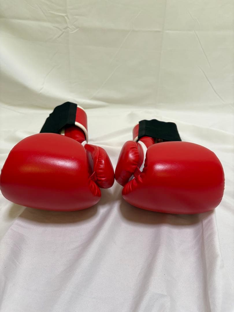 【ほぼ未使用】RDXキックミット×2 ZHENGTU10oz グローブ　ミット