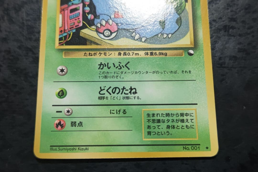 バイイー　ポケモンカード　フシギダネ　ニョロボン2枚