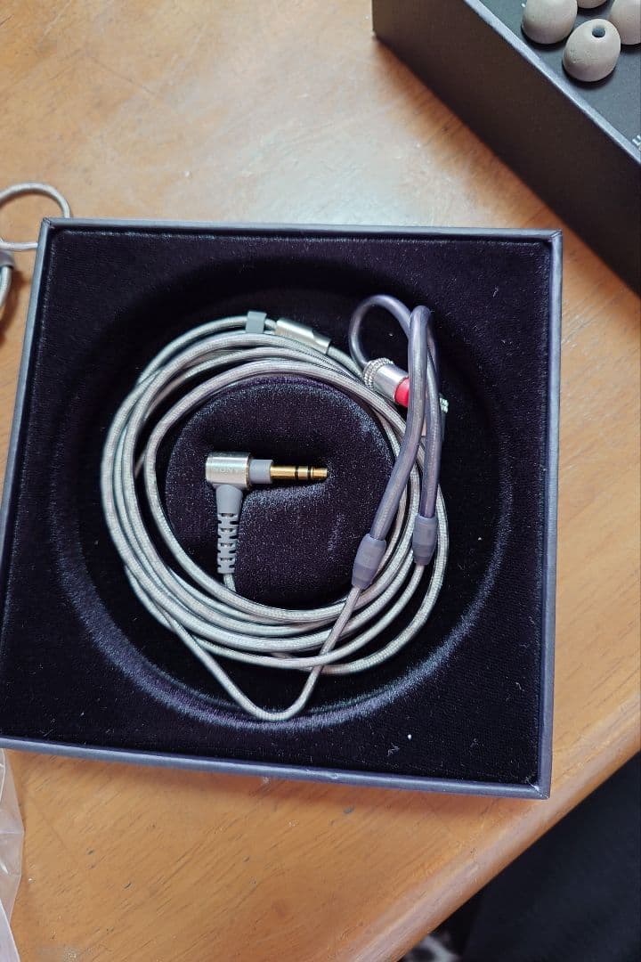 【最終値下げ】IER-Z1R